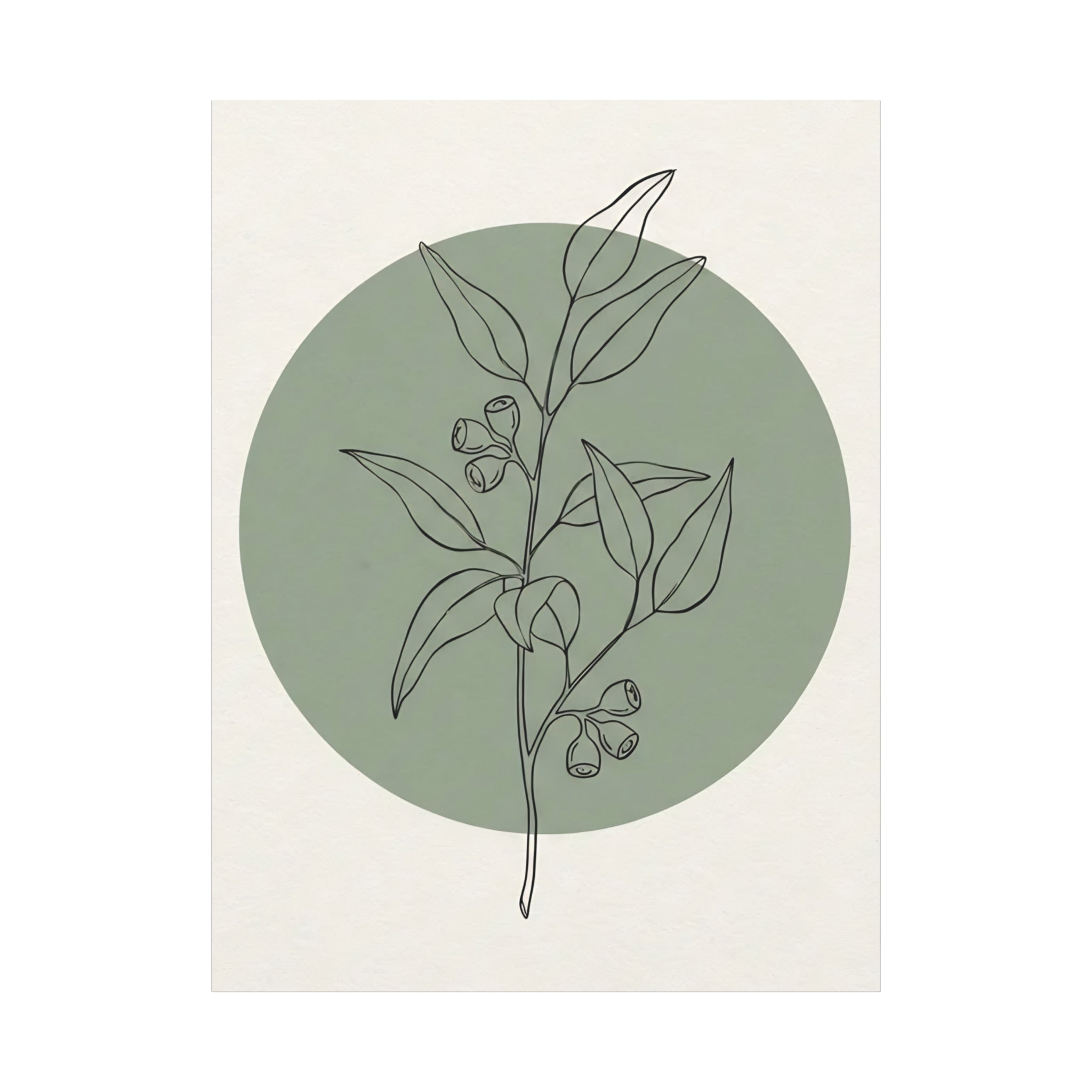 Eucalyptus Nordic Branch
