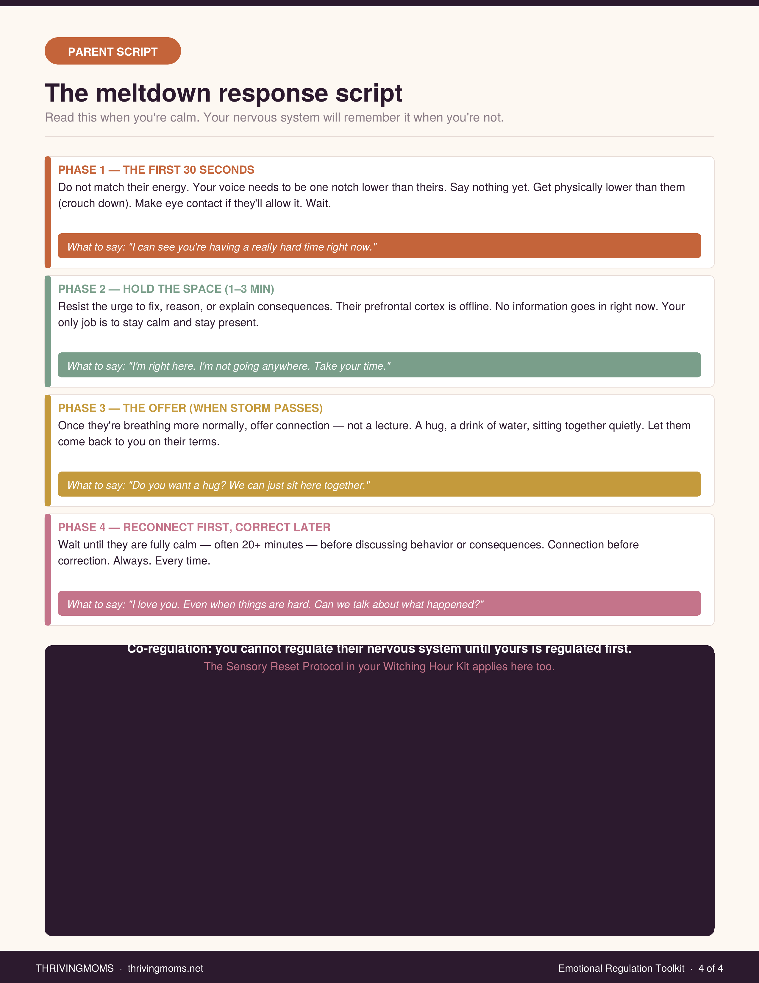 Emotional Regulation Toolkit — Digital Download
